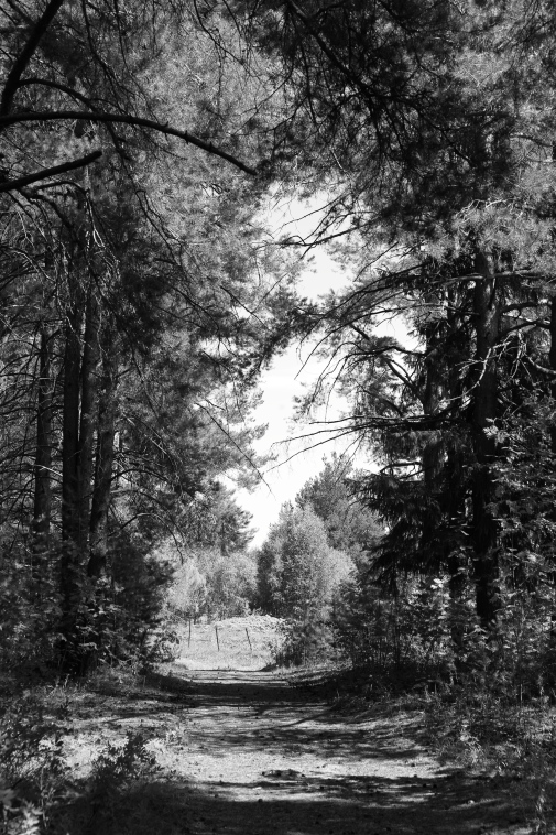 ���������� ����������