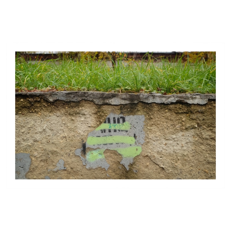 ���������� 1669