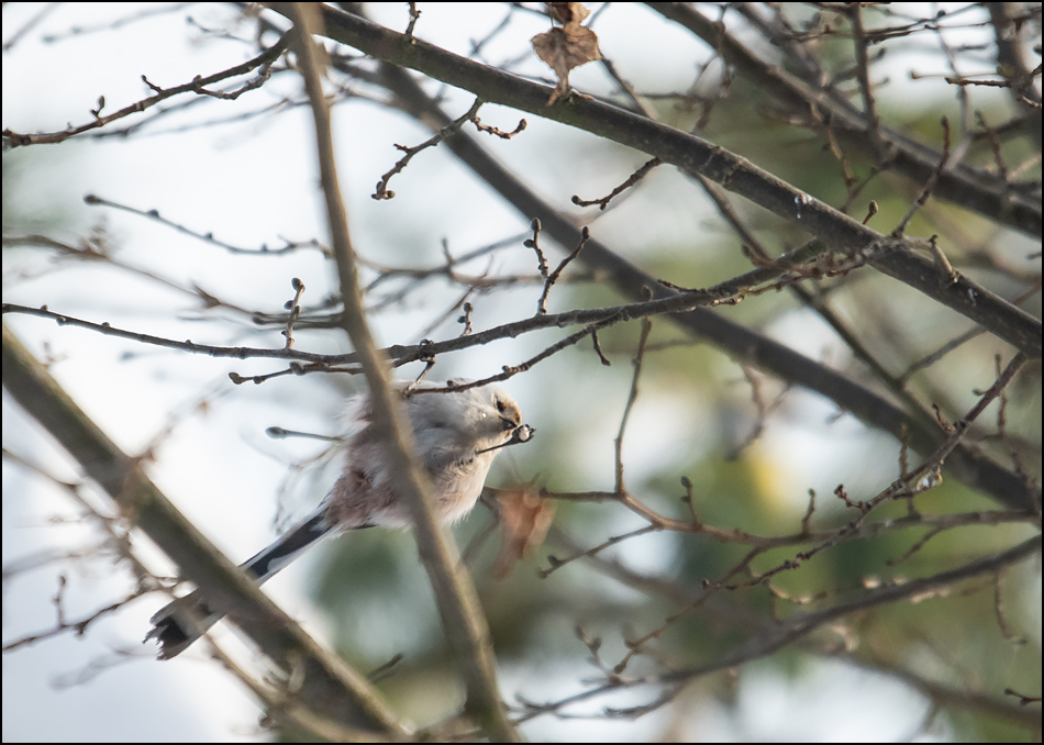 ���������� ��������� �����