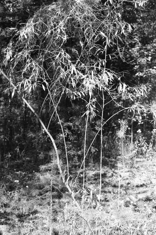 ���������� ����������