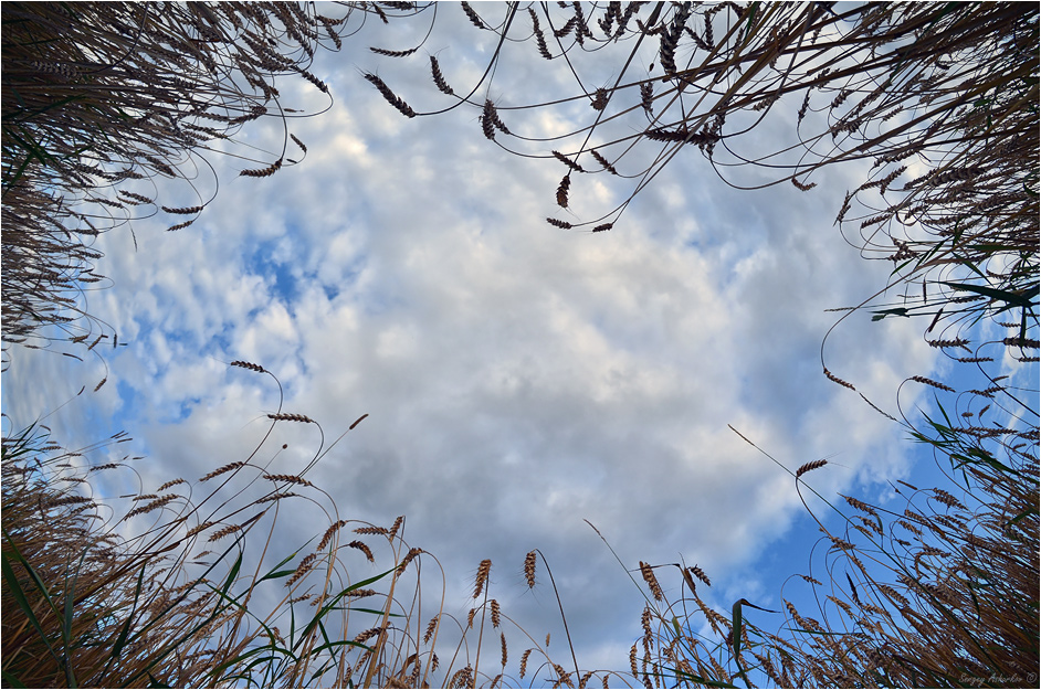 ���������� ������ #40.