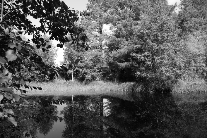 ���������� ����������