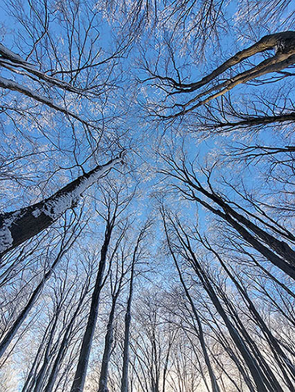 ���������� ��������