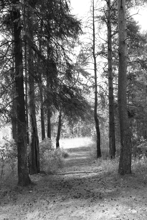 ���������� ����������