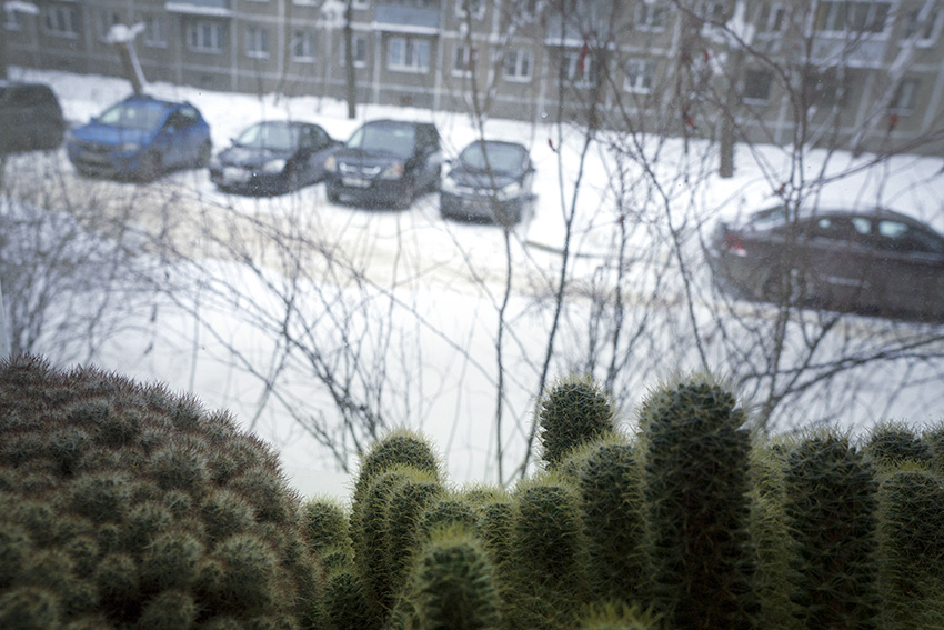 ���������� ***