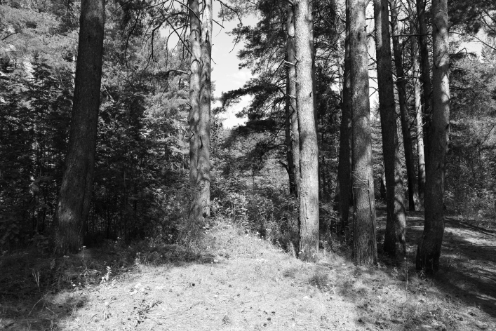 ���������� ����������