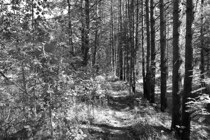 ���������� ����������