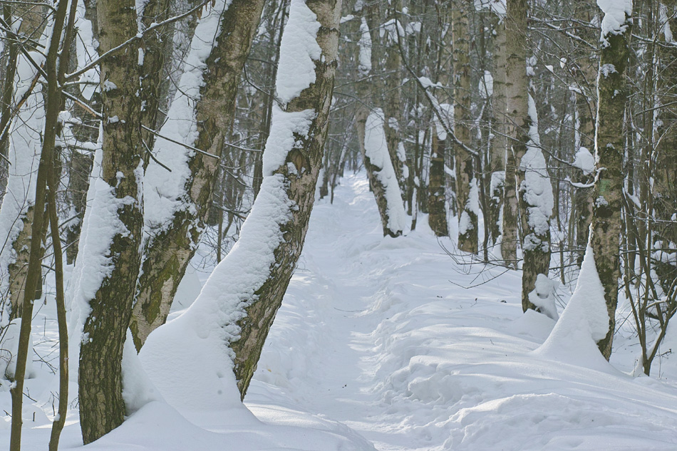 ���������� ��ף� ��������