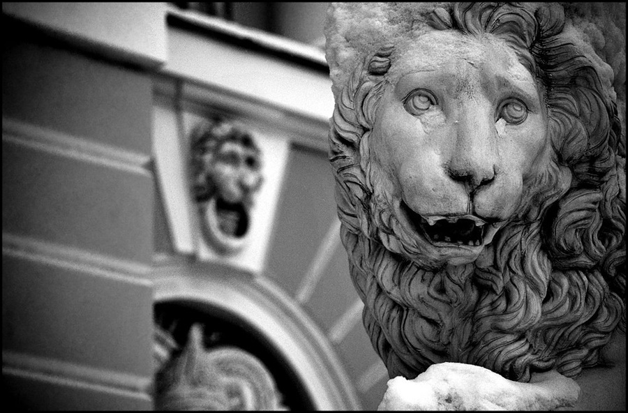 ���������� �������� ���