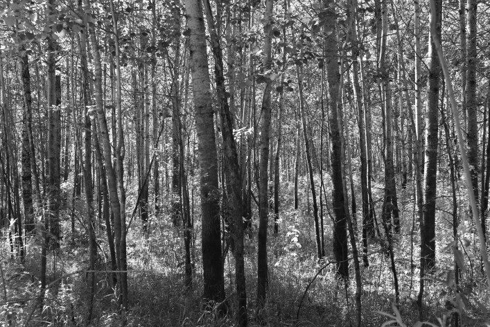 ���������� ����������