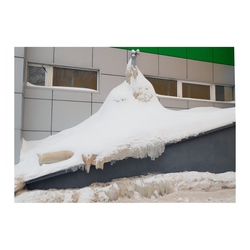 ���������� 1673