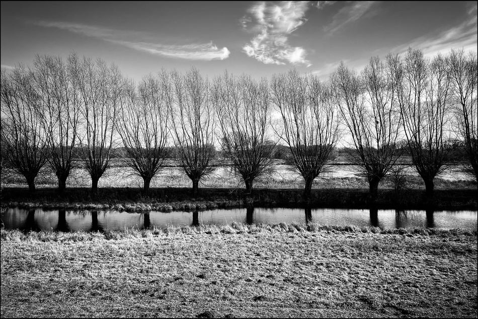 ���������� ***