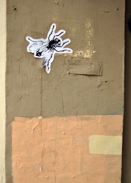 ���������� ������ ţ...������ !