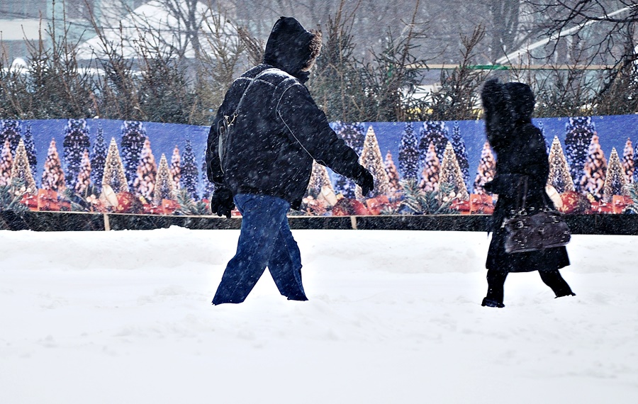 ���������� 0578