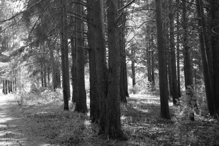 ���������� ����������