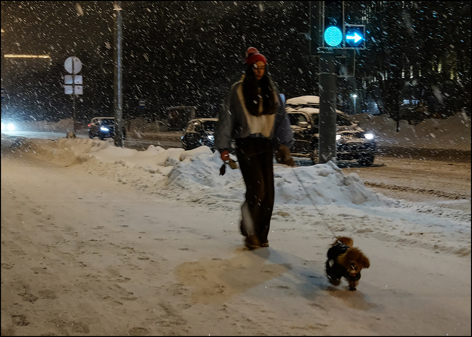 ���������� ���� ������