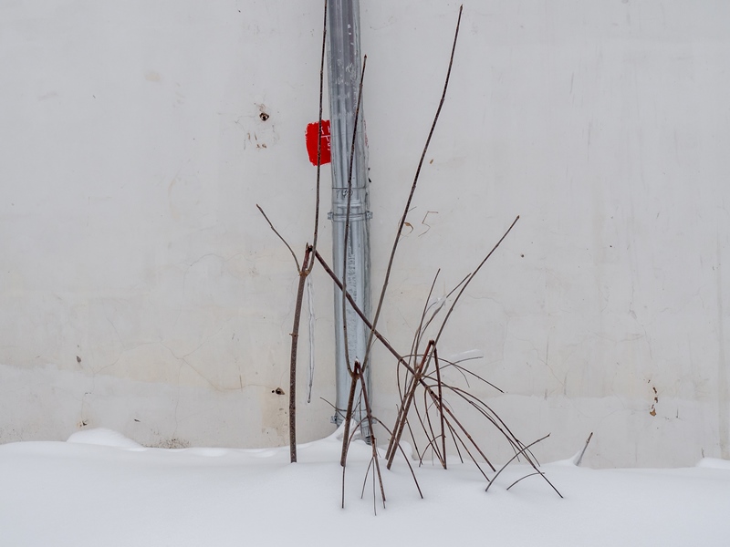 ���������� ***