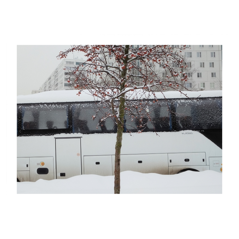 ���������� 1675