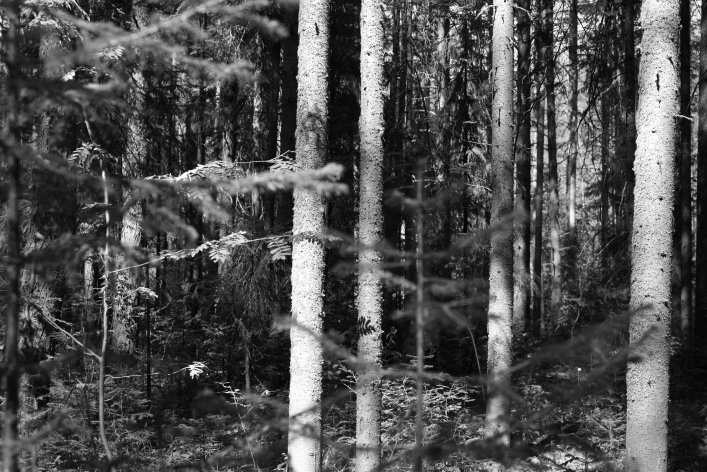 ���������� ����������