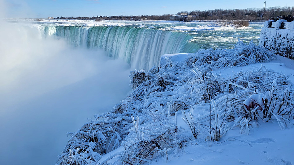 ���������� ****