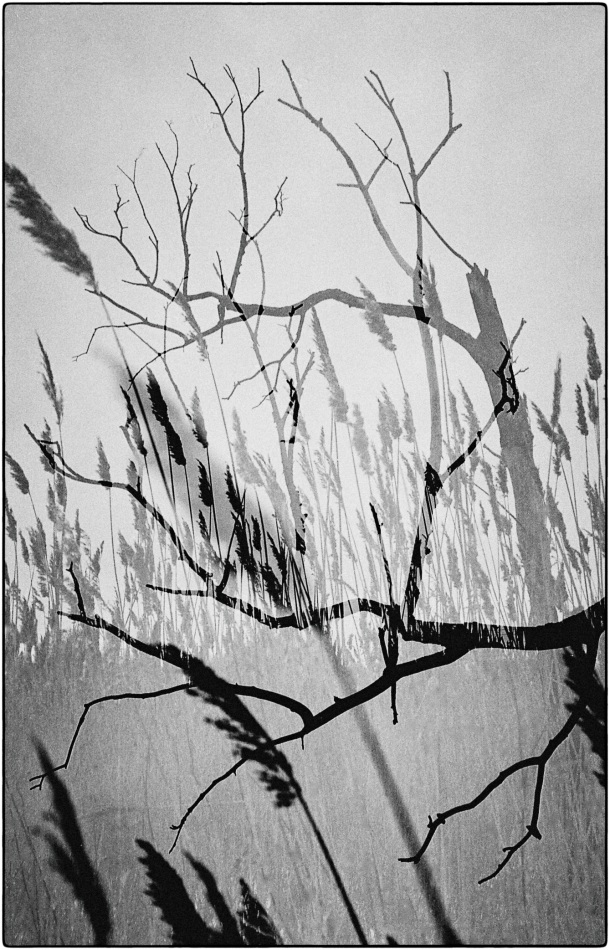 ���������� ��������