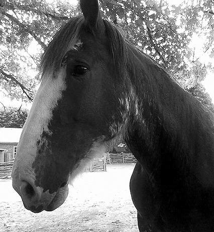 ���������� ��������� ����� ��� 17 ������� 2026