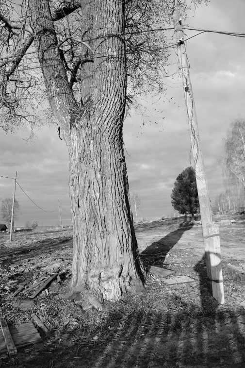 ���������� ����������