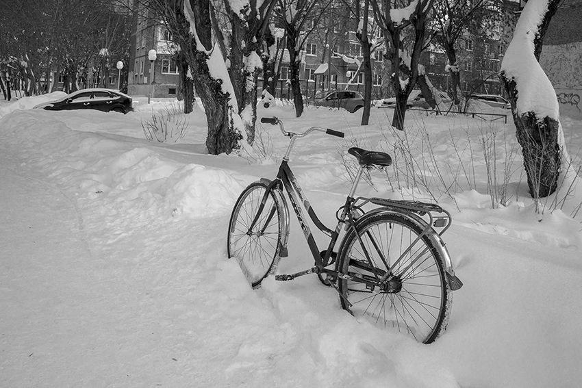 ���������� ��������������