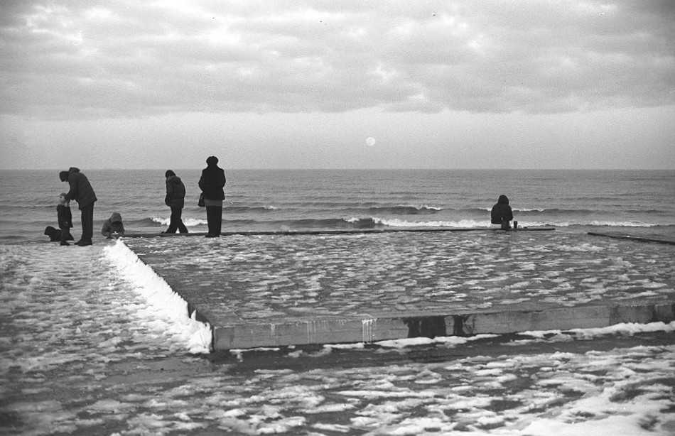 ���������� ***