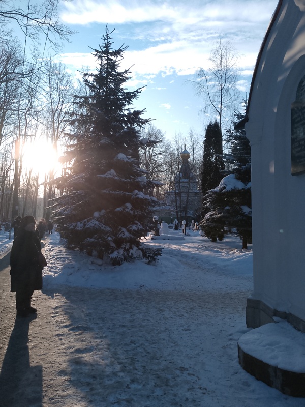 ���������� ������ ��� 6 �������