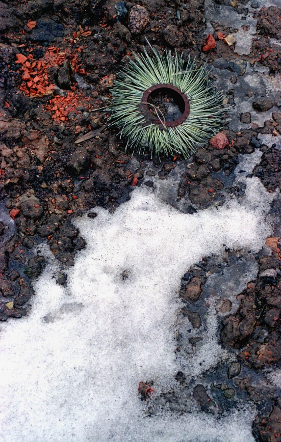 ���������� ���������