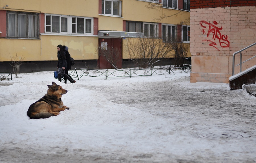 ���������� ������ ������ 