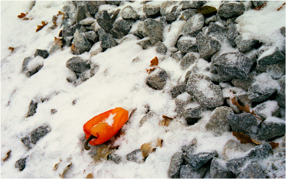 ���������� ������ �����