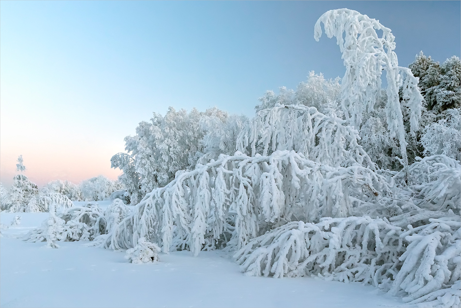 ���������� �������� ����.