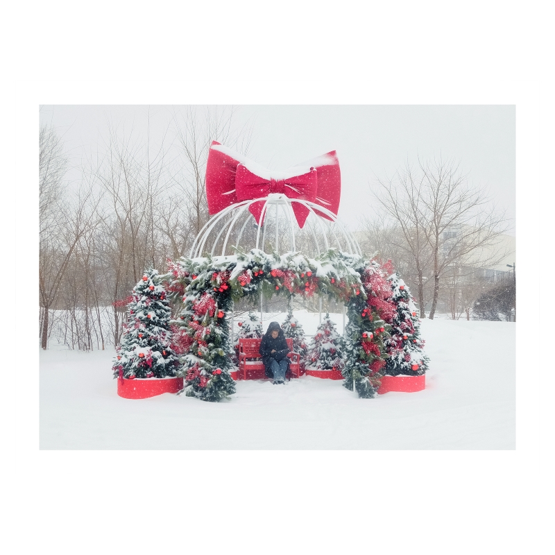 ���������� 1681