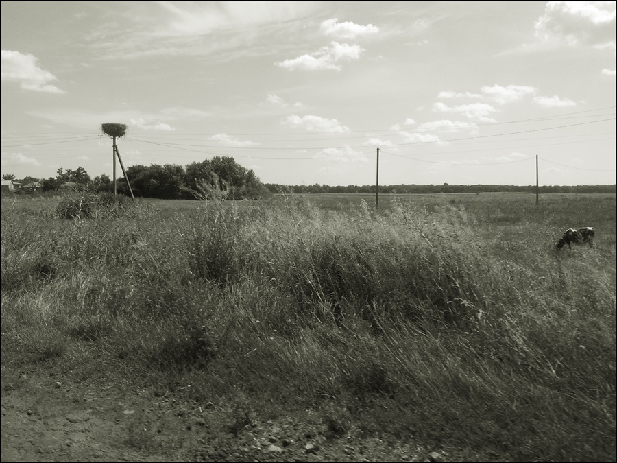 ���������� 049-1