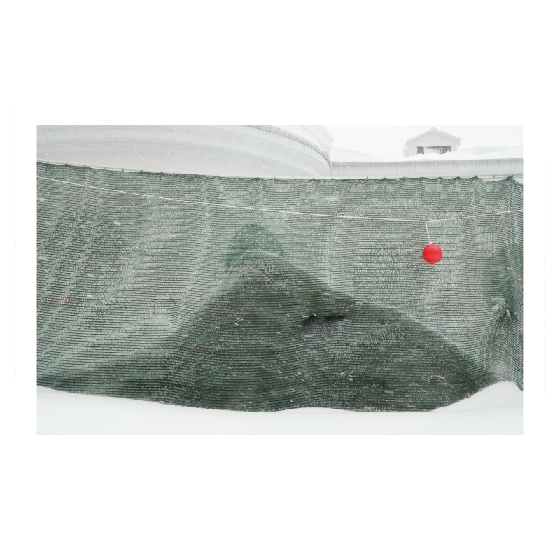 ���������� 1682