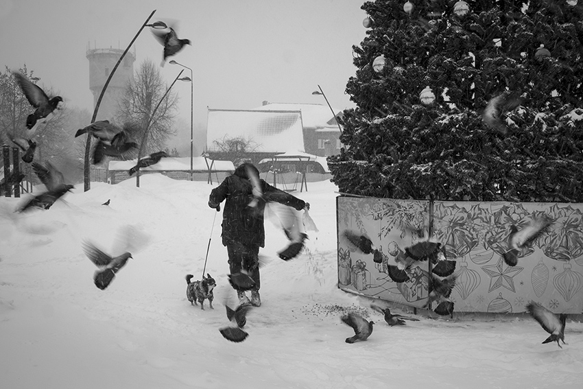 ���������� ***