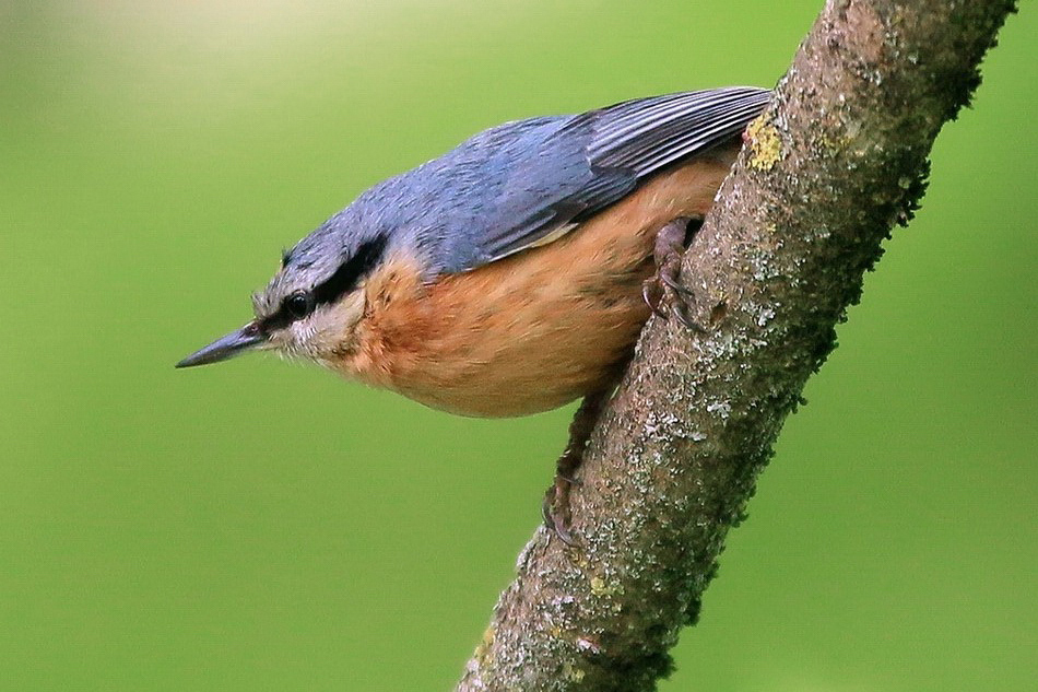 ���������� ���������.