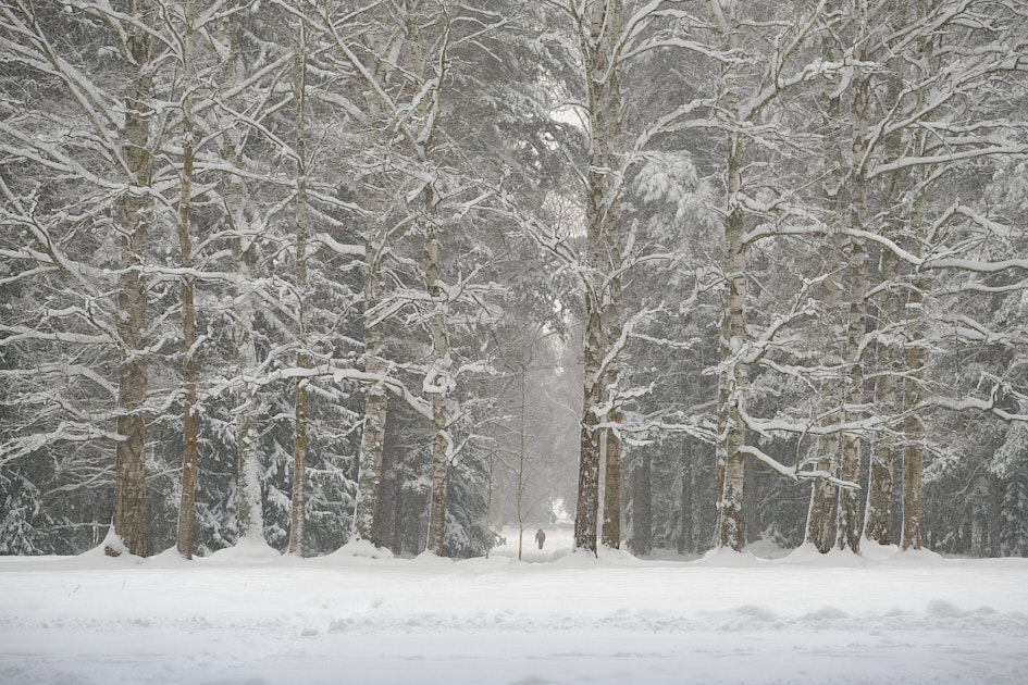 ���������� ��������