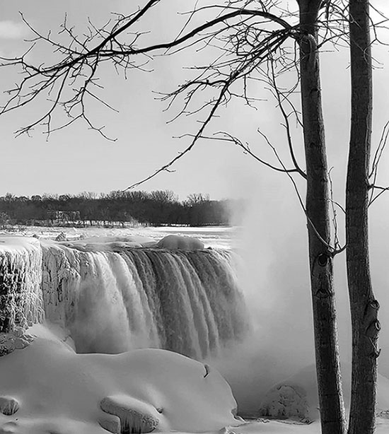 ���������� ****