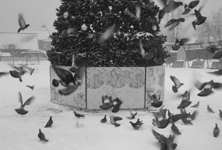 ���������� ***