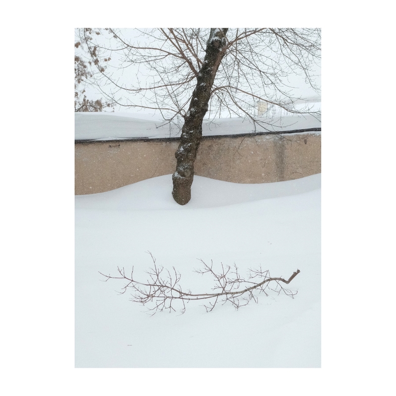 ���������� 1684