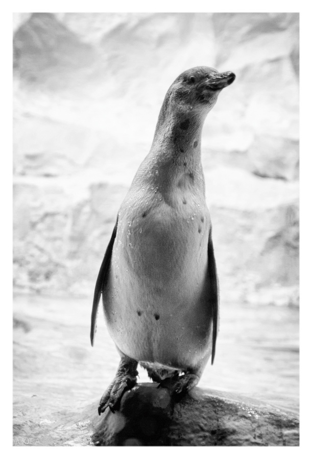 ���������� ���� �� ����������