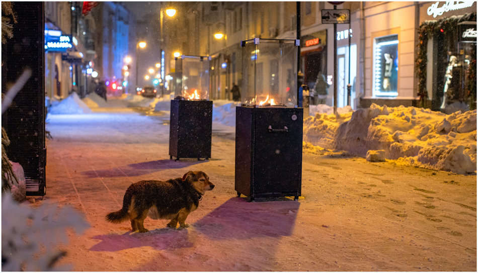 ���������� ��������