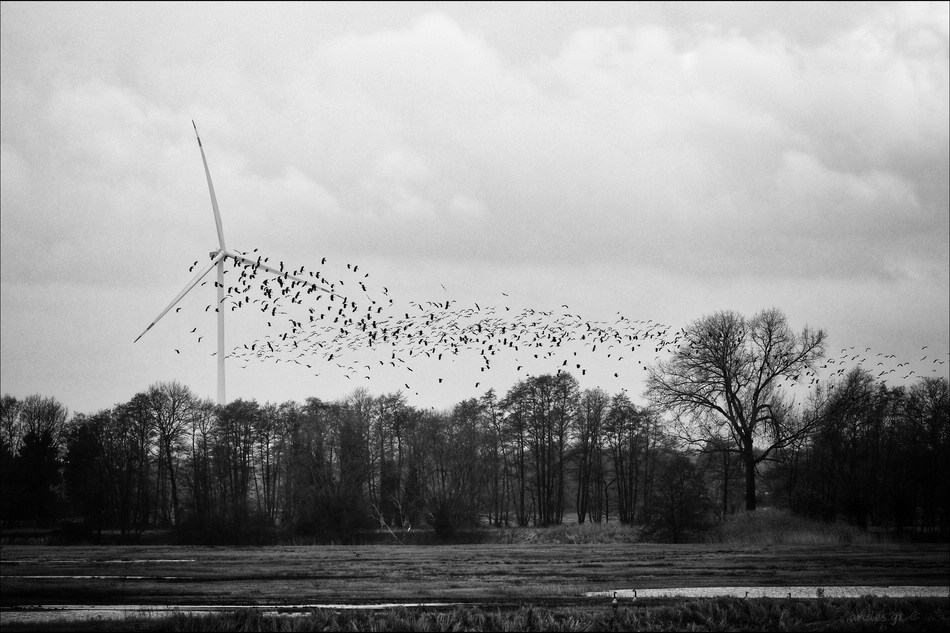 ���������� ***