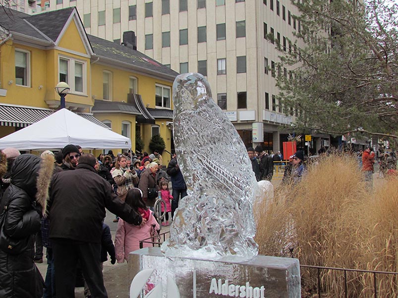 ���������� ������� 