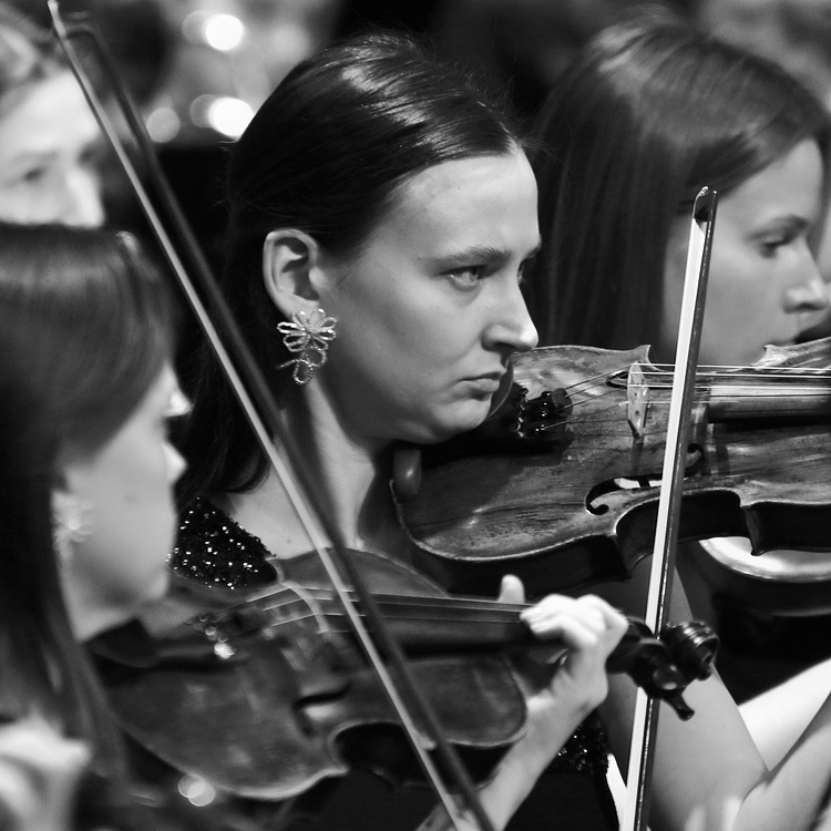 ���������� ***