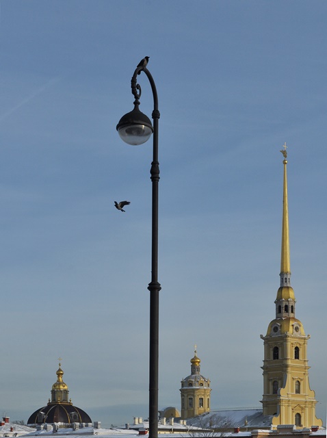 ���������� �� ����� ������ ***