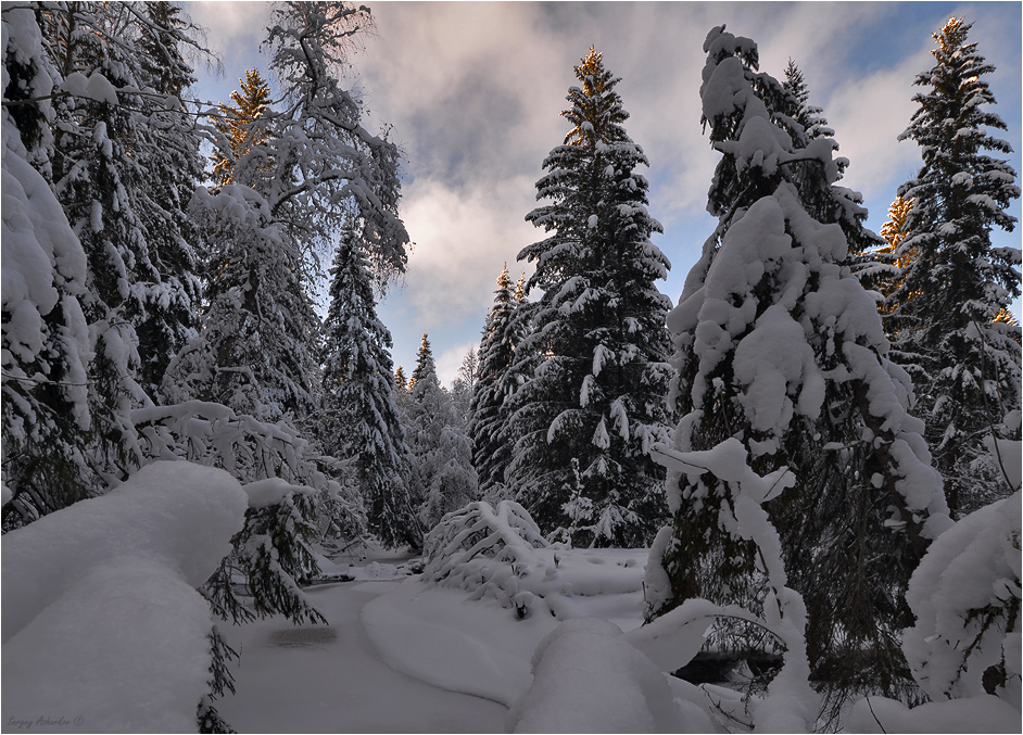 ���������� ���� ���� � �����������. #33